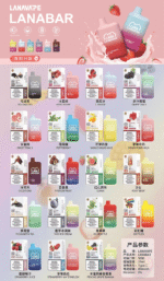 LANA BAR可充电一次性電子煙霧化5000口(3.0%) - Image 2