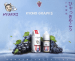 日系進口小煙油HYAKKI哈亞齊30ML - Image 5